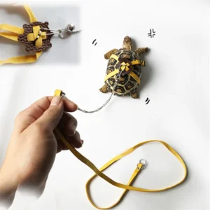 Pet Turtle Safety Leash 1